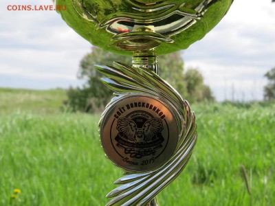 Слёт "Душа моя, Россия. Minelabbing 2015" МЕГА-ПРИЗЫ!!! - 8.JPG