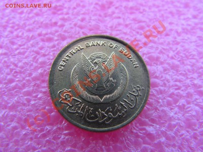 -БРАК- 5 пиастр 2006 -- 10 июля 21-00 - PICT0704.JPG