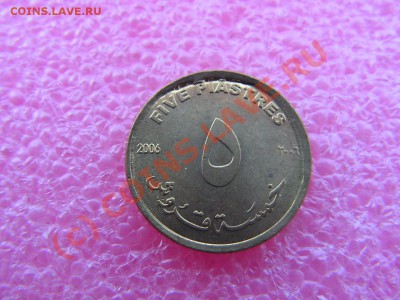 -БРАК- 5 пиастр 2006 -- 10 июля 21-00 - PICT0703.JPG