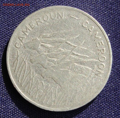 С 1 руб. КАМЕРУН 100 франков  1975г. АНТИЛОПЫ до 25.05.15г. - IMG_4384.JPG