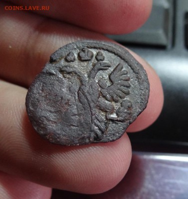 Полушки 1730-1754 годов. Галерея - DSC09577.JPG