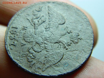 2 копейки 1837г ем на до 24.05.15г в 22 00 по мск - DSCN9296[1].JPG