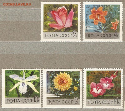 1969 Цветы ** (полная серия), - сканирование0010
