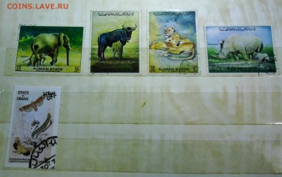 Фауна арабские марки - фауна-3.JPG
