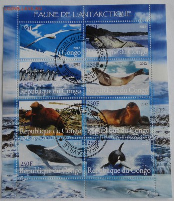 блок животные Арктики - лот №17 до 23.05.2015 г. - DSC00047.JPG