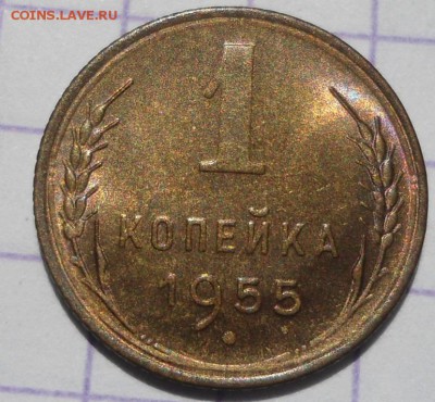 1 копейка  UNC - DSC04990.JPG