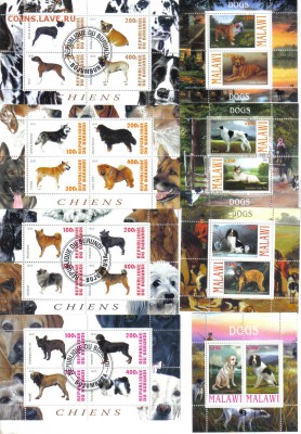 Марки мира мл Собаки №1 до 23.05 22.00мск - Марки мира мл Собаки-1