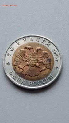 HV-016 Красная книга 1993 Медв и Зублефар до24.05.2015 22 00 - IMG_20150520_160541256