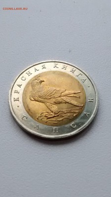 HV-022 Красная книга 1994 Сапсан до 24.05.2015 22 00 - IMG_20150520_161512298