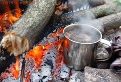 Впереди сезон шашлыков... - 21672_830587387018410_6157764227187998845_n