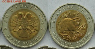 Красная книга 94 Песчаный слепыш2 До 23.05.15 22:00 - КК94 слепыш2