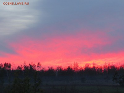 Покопушки от Русланыча . - IMG_1992.JPG