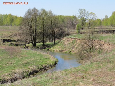 Покопушки от Русланыча . - IMG_1955.JPG