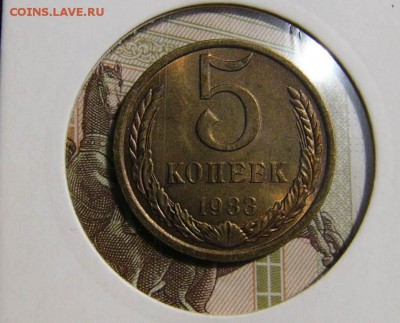 1982г- подборка(хожденка) - P1130330.JPG