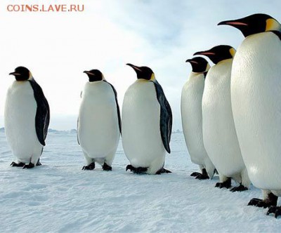 Сказочка на ночь для нумизматов. - !000монетка 000.1 ааа. 0 м3а