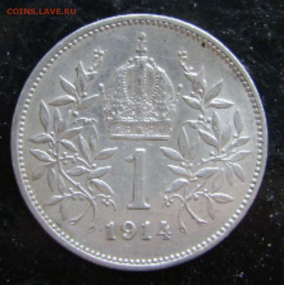 1крона,Австро-Венгрия1914г.,до 27.05.15,в 22-00 - DSC00001.JPG