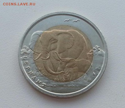 Турция 2009 1 Лира Слон до 23.05.2015 - 101