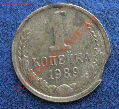 1 коп 1989 выкус? - IMG_0238.JPG