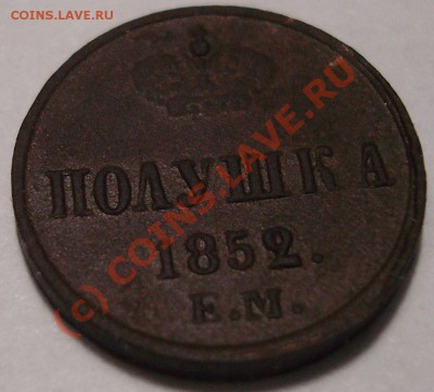 Полушки на оценку - DSC05010.JPG
