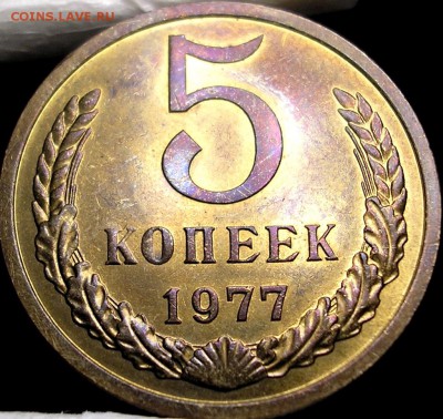 5 копеек 1977 года в блеске - P1010001.JPG