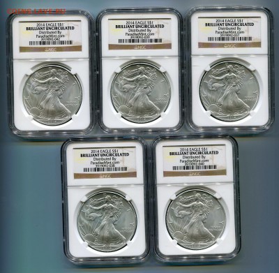 1 доллар США 2014, Свобода в слабе NGC, ФИКС.!!!! - Сканирование__522