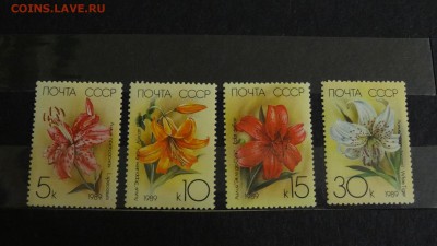 1989, СССР, Садовые лилии, полн.сер., чист. - DSC05106.JPG