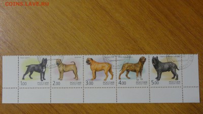 2002, Собаки, полн.серия, сцепка, гаш. - DSC05832.JPG