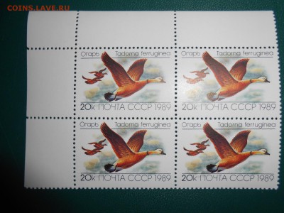СССР, квартблоки чистые люкс. Утки, 1989 год, 2 разных - DSCN7409.JPG