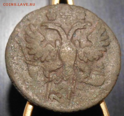 полушка 1731 г гурт копейки 1728-1729 г - DSCN2913.JPG