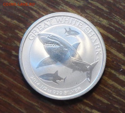 АВСТРАЛИЯ - БОЛЬШАЯ БЕЛАЯ АКУЛА до 29.05, 22.00 - австралия большая белая акула