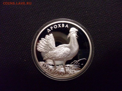 Монета открытая. - SDC10029.JPG