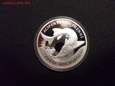 Монета открытая. - SDC10032.JPG