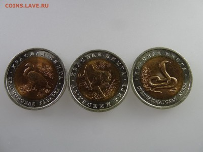 Красная книга 10 рублей 1992 (3шт) до 28.05 22:00 МСК - DSC07639.JPG