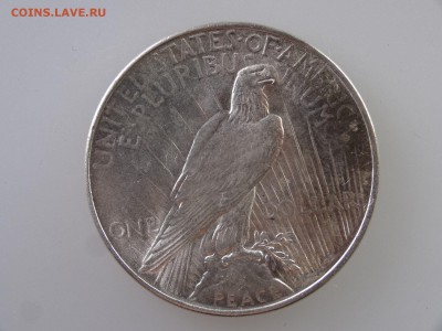 США 1 доллар 1922 UNC+ до 28.05 22:00 МСК #2 - 1DSC07728