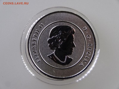 Канада 20 долларов 2013 до 28.05 22:00 МСК - 1DSC07743