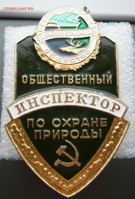 Общественный инспектор по охране природы до 27.05 в 19:00 - P1050129.JPG