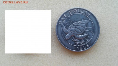 1 доллар Бермуды - черепаха, 1986 г. до 25.05.2015 г.!!! - 20150525_093922