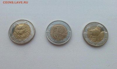 ТУРЦИЯ 1 Лира (Кр. Книга) Кошка+Собака+Слон до 27.05 (среда) - 101