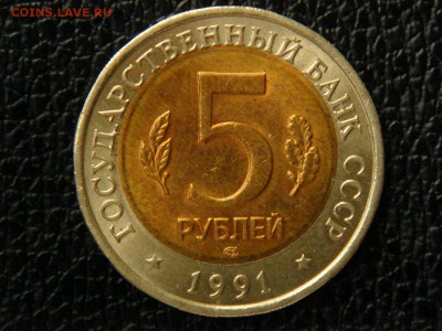 К винторогий козел, смешение вставки. - DSC09914.JPG
