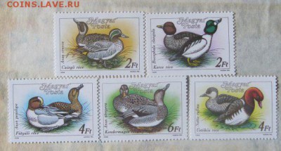 Венгрия.Фауна. - 184000