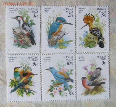 Венгрия.Фауна. - 184004