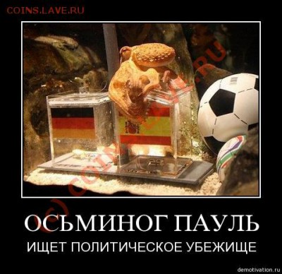 Чемпионат Мира по футболу 2010 в ЮАР - 3nmazb6rp332