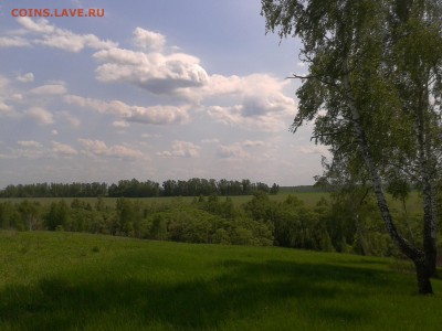 Покопушки от Русланыча . - 2015-05-23 13.26.56