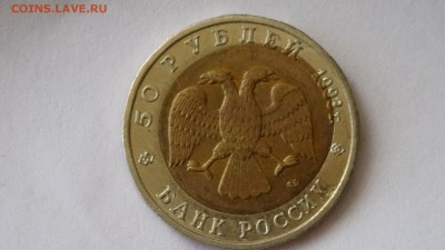 Кр.Книга  Аист Бол.Смещение - DSC00448.JPG