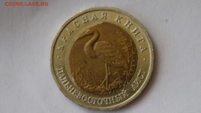 Кр.Книга  Аист Бол.Смещение - DSC00449.JPG