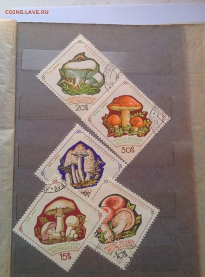 4+ альбома разных марок оценка - IMG_20150526_204323