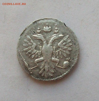 Гривенник 1735 года на оценку - 100_6593.JPG