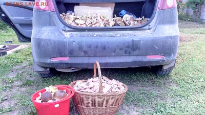 Любители "тихой охоты" есть? Все сюда :) - IMG_20140914_153216_1