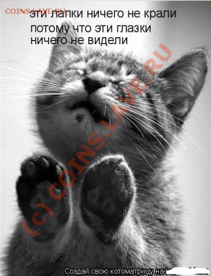 юмор - kotomatrix_02