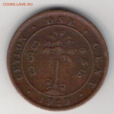 Цейлон цент 1929 до 01.06.15 в 22.00мск (Б187) - 1-ц1а